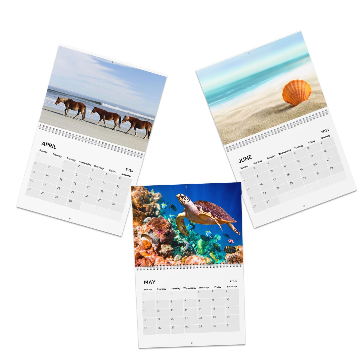 Outer Banks Calendar (2024) - Obx Store